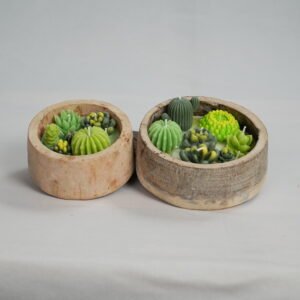 Candle wooden succulents